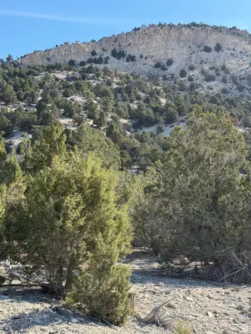 #1, Salina, UT 84654