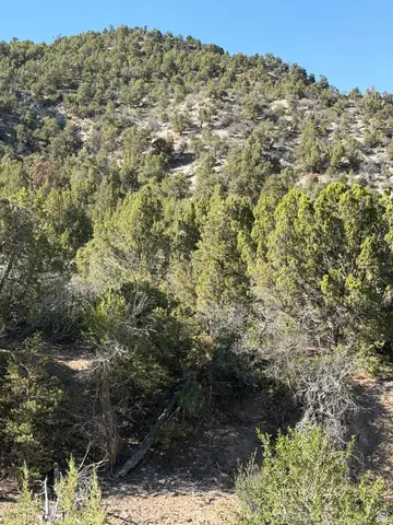 #1, Salina, UT 84654 - #2