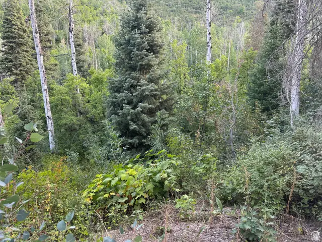 819 North Fork Rd #819, Mount Pleasant, UT 84629 - #1