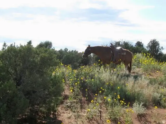 5929 W 350 S, Roosevelt, UT 84066 - #1