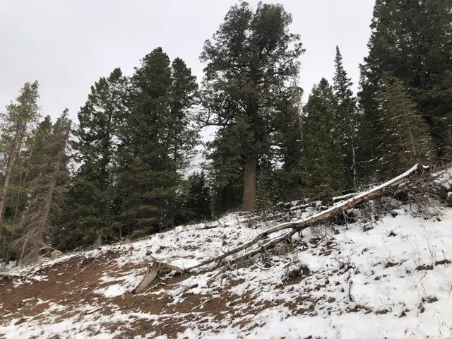 Address Withheld By Seller, Coalville, UT 84017 - #1