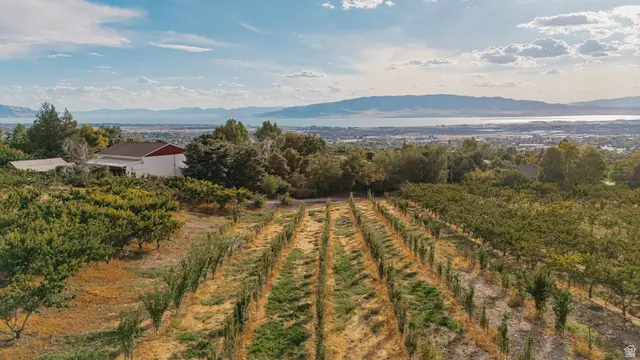 1525 E 200 S, Pleasant Grove, UT 84062 - #2