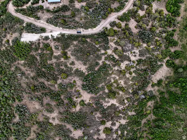 5 Red Fox Way #5, Fairview, UT 84629 - #3