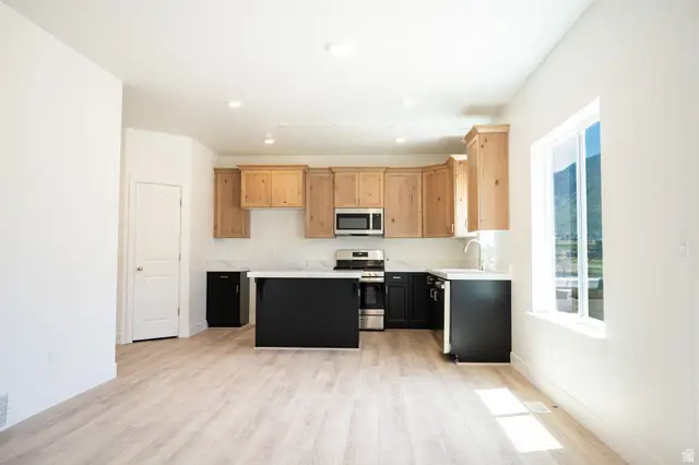 474 E 590 N Lot #43, Salem, UT 84653 - #3