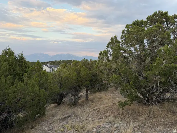 14542 S Shaggy Mountain Rd #2, Herriman, UT 84096