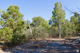 Address Withheld By Seller, Fairview, UT 84629 - #2