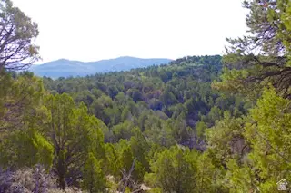 Address Withheld By Seller, Fairview, UT 84629 - #3