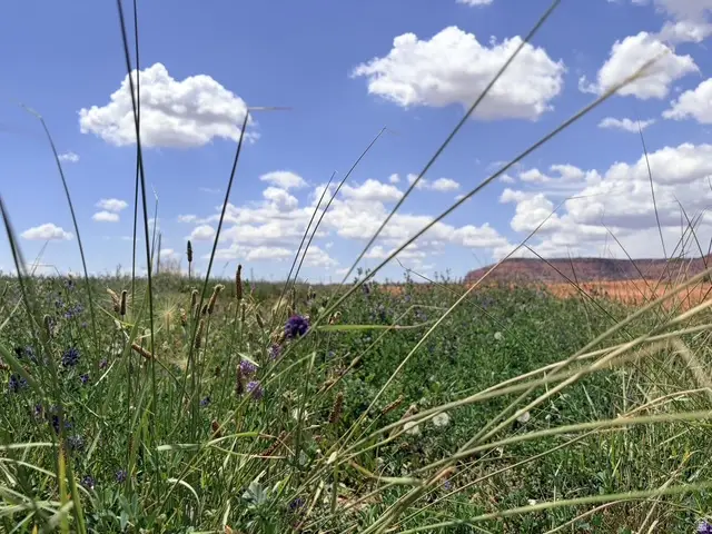 Address Withheld By Seller, Kanab, UT 84741 - #2