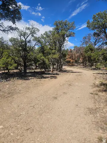 #8, Fruitland, UT 84027 - #2