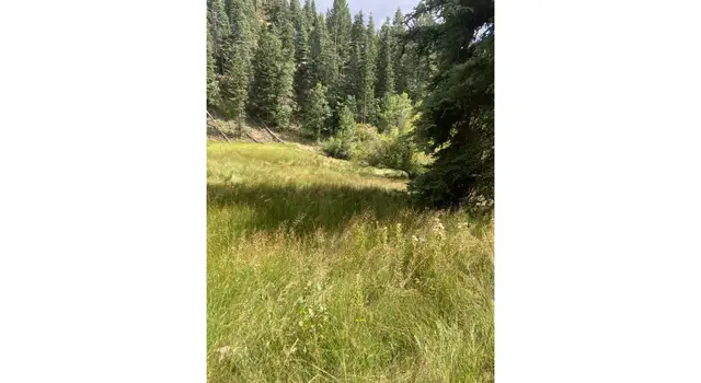 40 Skyhaven Mountain Retreat #40, Duck Creek Village, UT 84762 - #1