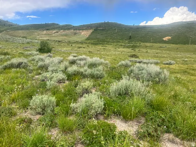 5465 N Lone Hill Dr #1 & 2, Midway, UT 84049 - #2
