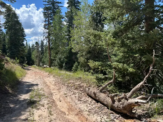6380 W Kodiak Dr #10, Duck Creek Village, UT 84762 - #2