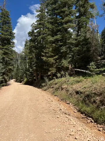 6980 W Kodiak Dr #10, Duck Creek Village, UT 84762