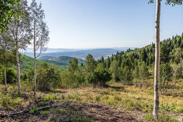 543 Upper Cove Rd #51, Park City, UT 84098 - #1