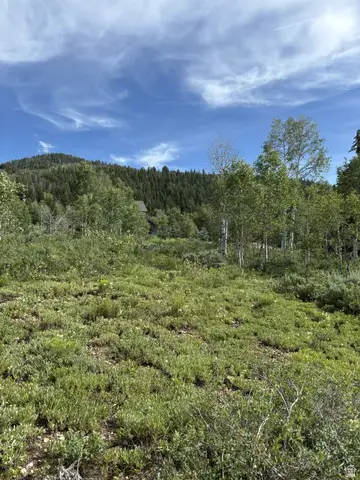 303 Ashley Ct #303, Oakley, UT 84055 - #3