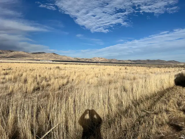 1067 N Goshen Canyon Rd W, Mona, UT 84645 - #3