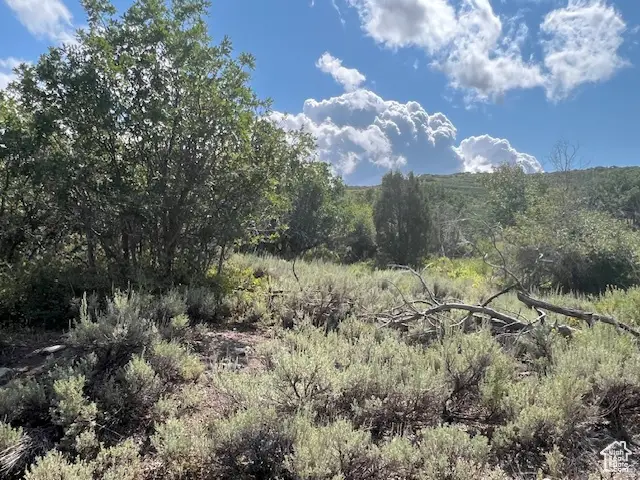 2325 Westview Dr #1355, Heber City, UT 84032 - #1