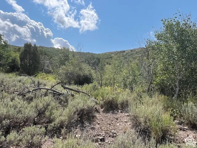 2325 Westview Dr #1355, Heber City, UT 84032 - #2