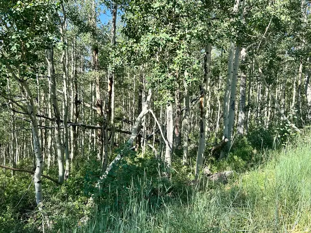 5475 N Hidden Way #37, Midway, UT 84049 - #3
