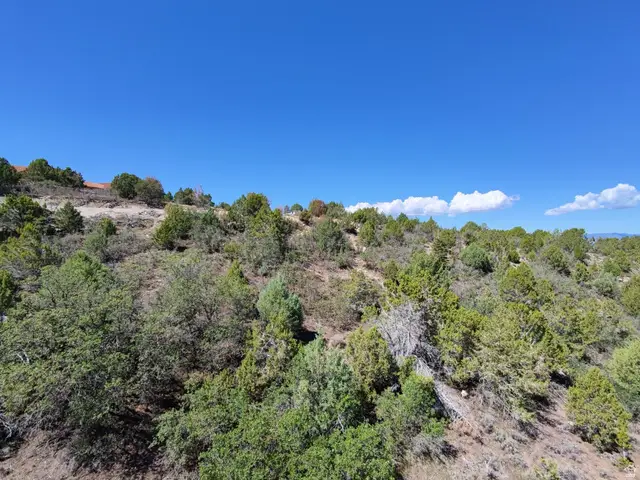 14695 N 11600 E #165, Mount Pleasant, UT 84647 - #3
