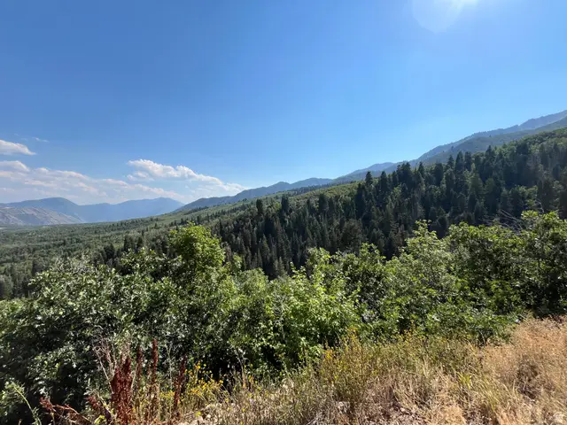 Lot 88, #88, Springville, UT 84663 - #1