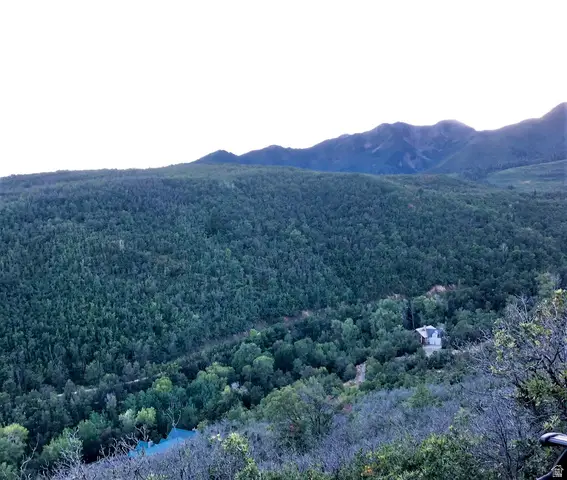 #6, Springville, UT 84663 - #1