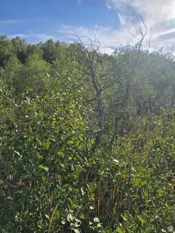 Address Withheld By Seller, Avon, UT 84328