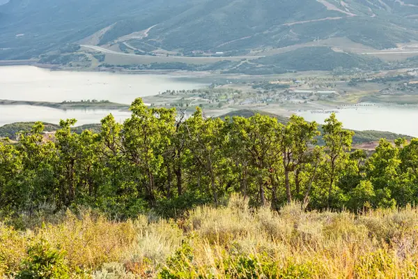 11499 N Penstemon Way #412, Hideout, UT 84036