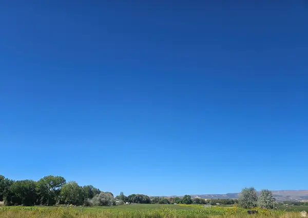 1540 W Righteous Ln, Vernal, UT 84078