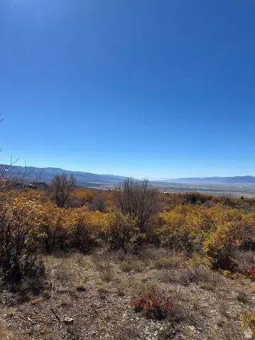 22949 N 13755 E #93, Fairview, UT 84629 - #2
