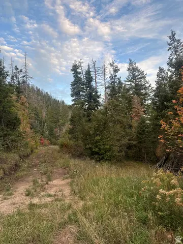 12 Pine Ridge Estates Dr #12, Mount Pleasant, UT 84647 - #3
