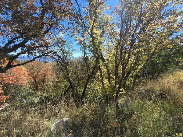 661 W Shady Ln #55, Coalville, UT 84017