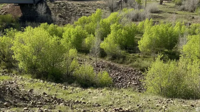 Address Withheld By Seller, Duchesne, UT 84007 - #3
