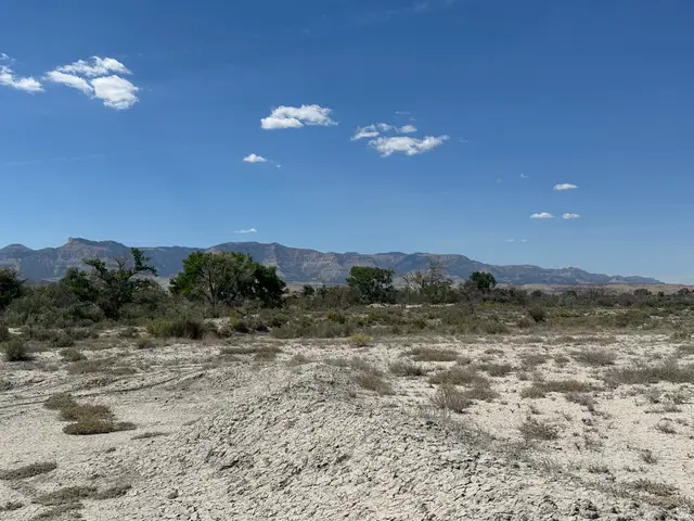 3250 W State Road 155, Cleveland, UT 84518 - #2