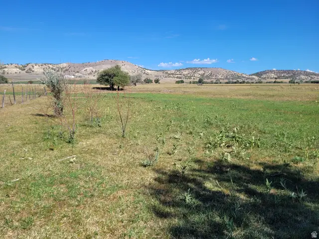 Address Withheld By Seller, Mount Pleasant, UT 84647 - #3