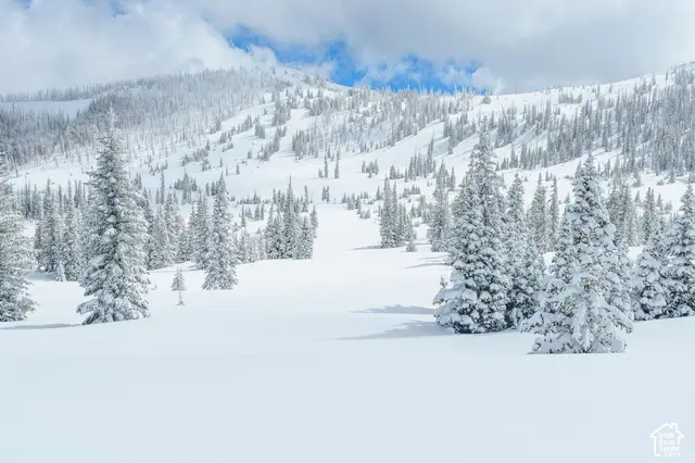 0 #16, Brian Head, UT 84719 - #1