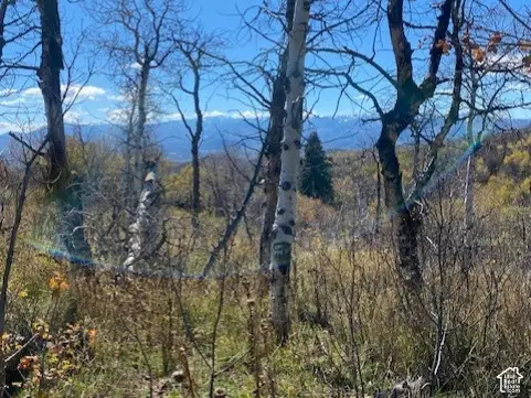 509 W Artist Point Way #53, Coalville, UT 84017 - #1