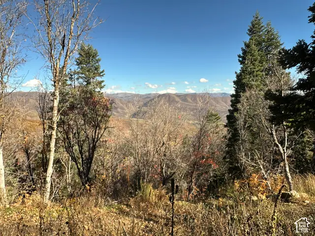 5946 E Upper Whitmore N #99, Springville, UT 84663 - #1