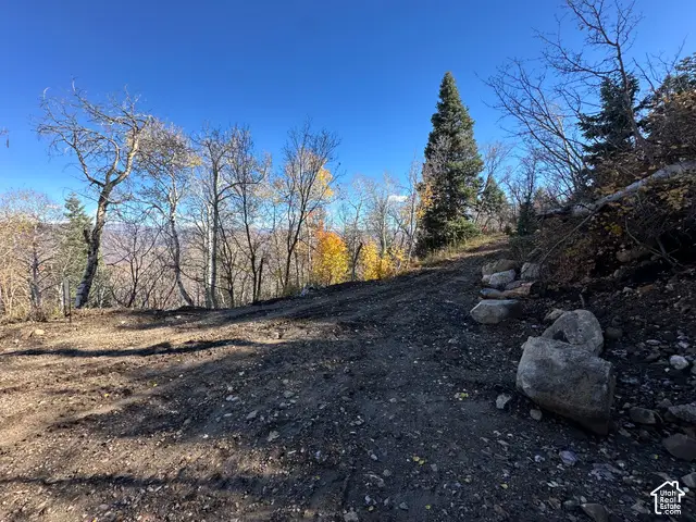 5946 E Upper Whitmore N #99, Springville, UT 84663 - #2
