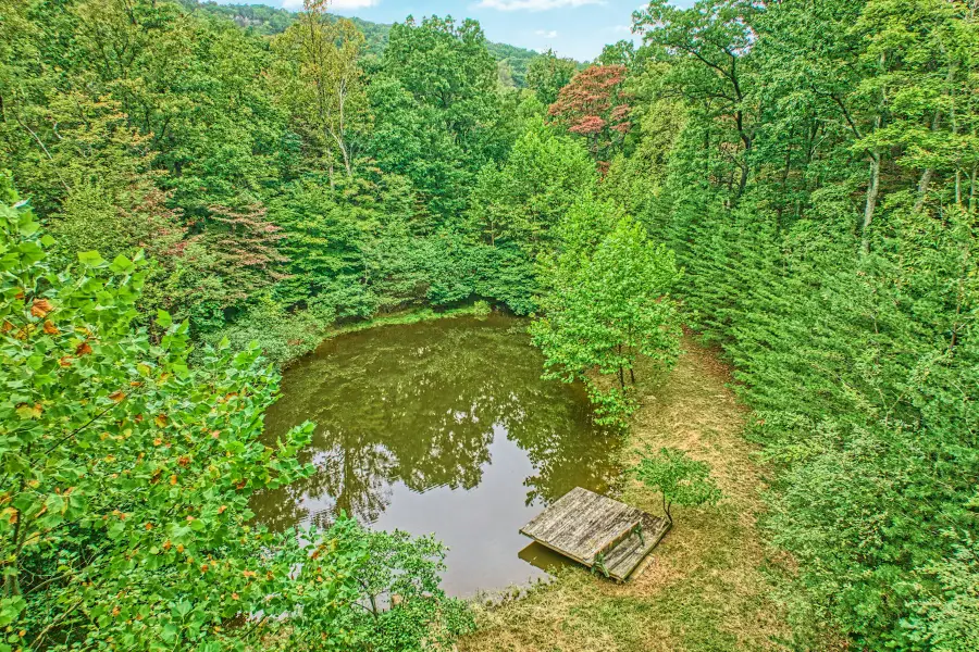 37740 Long Ln, Lovettsville, VA 20180 - Image #3