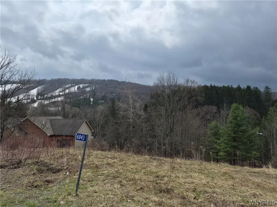6843 Springs Road, Ellicottville, NY 14731 - #2