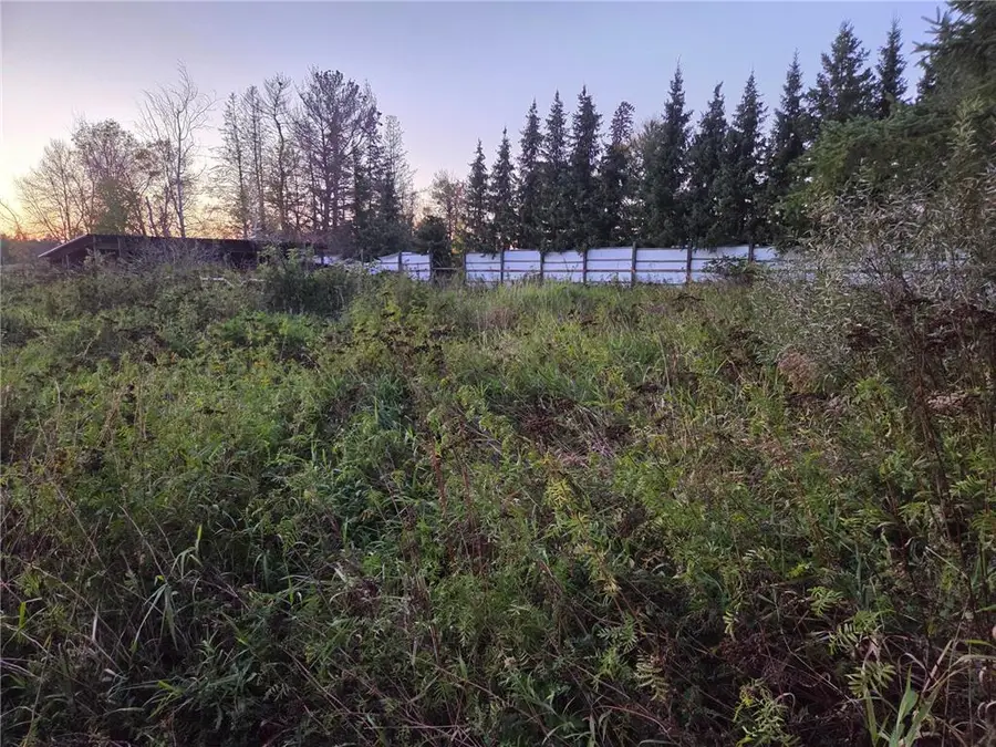36101 Pincherry Rd, Cohasset, MN 55721 - #3