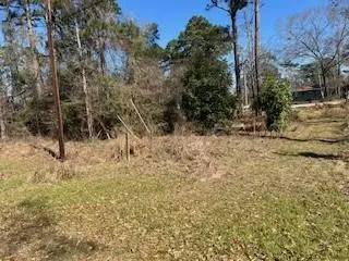 171 Cherry Tree, Livingston, TX 77351 - #2