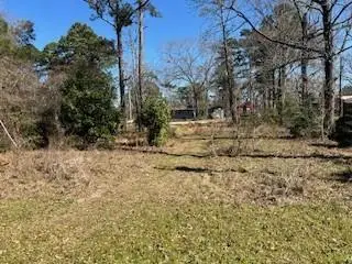 171 Cherry Tree, Livingston, TX 77351 - #3