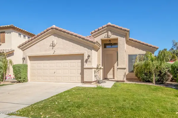 962 W Desert Broom Court, Chandler, AZ 85248