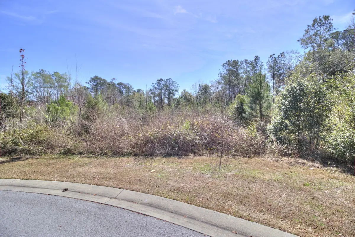 TBD SE 41st Street, Ocala, FL 34480 - #1