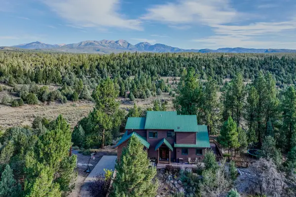 287 Wildcat Trail, Durango, CO 81301