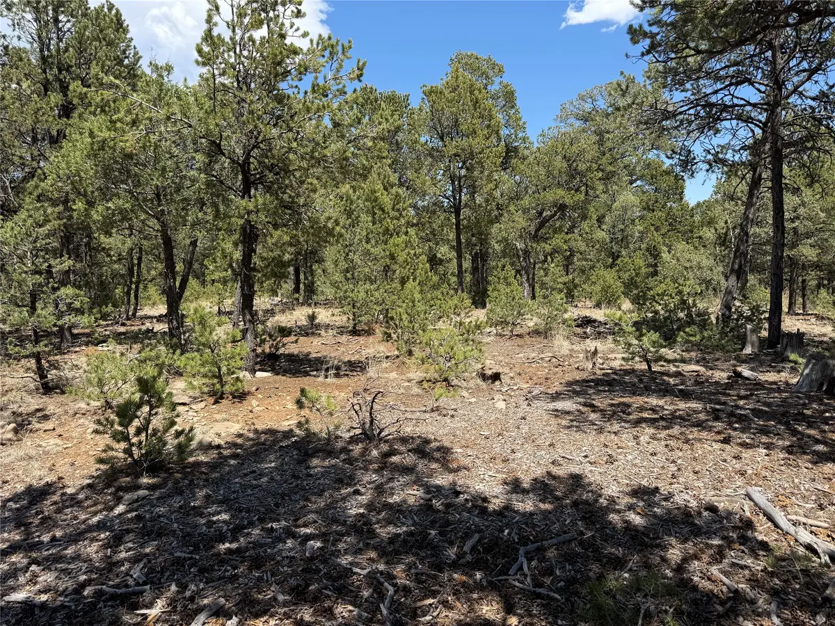 Lot 20 Dancing Hawk Drive, Pecos, NM 87552 - #1