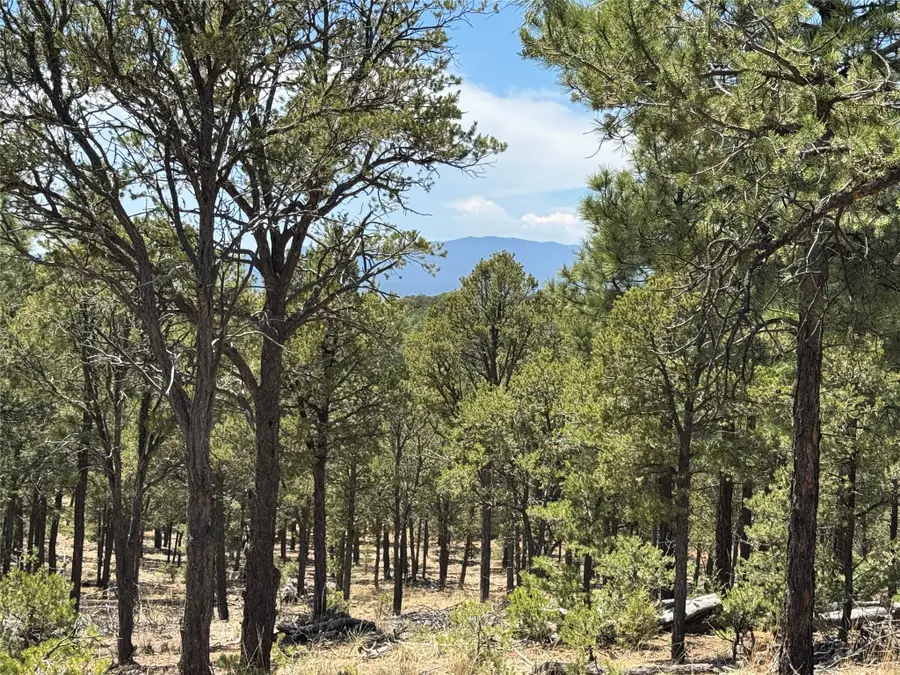 Lot 20 Dancing Hawk Drive, Pecos, NM 87552 - #2