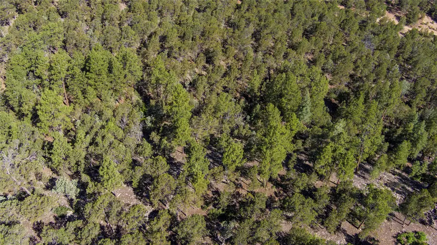Lot 20 Dancing Hawk Drive, Pecos, NM 87552 - #3